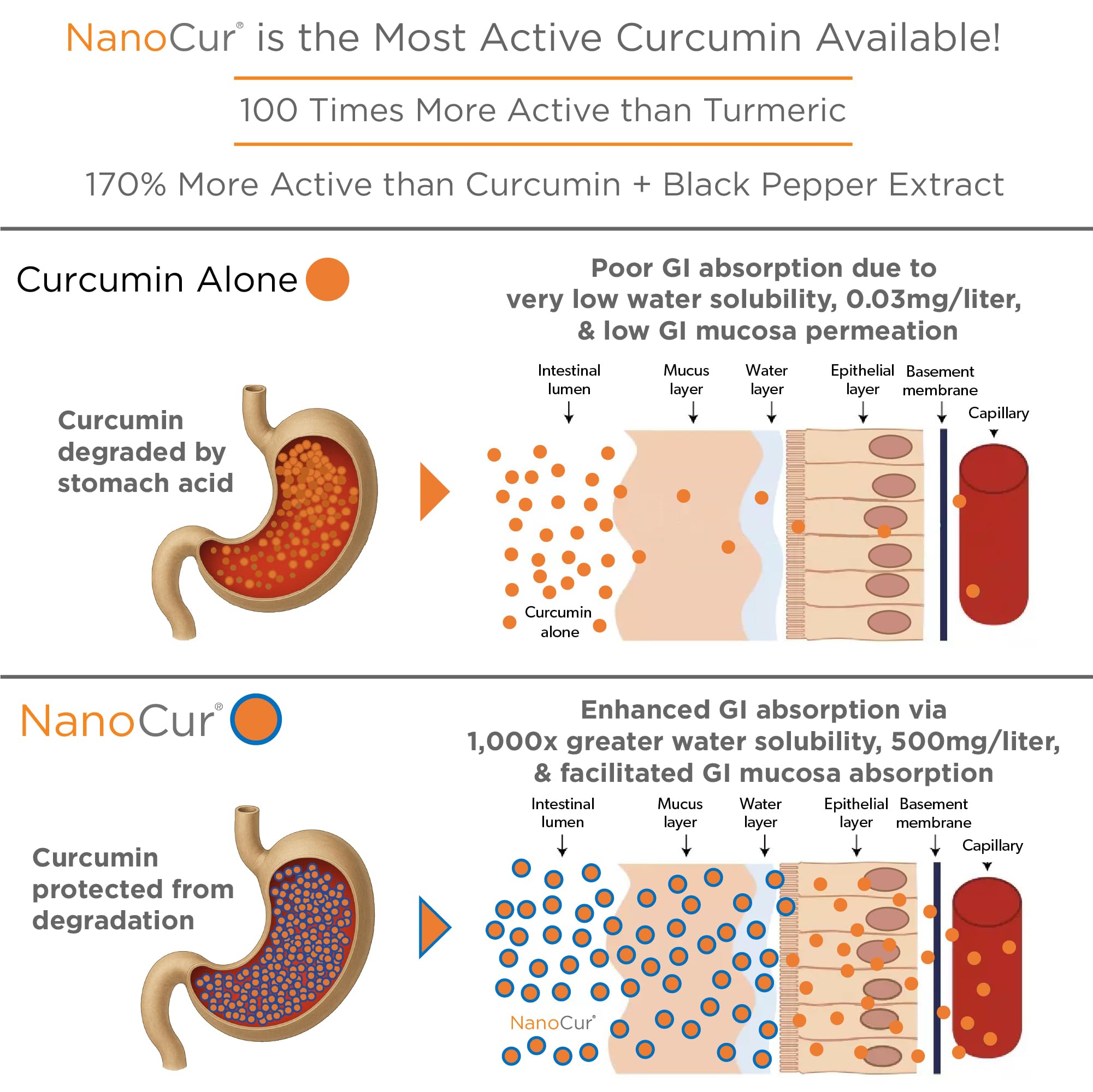 Nanocur Curcumin Supplement 100g back view