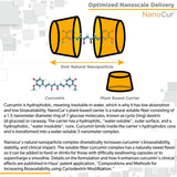 Nanocur Curcumin Supplement ingredients list
