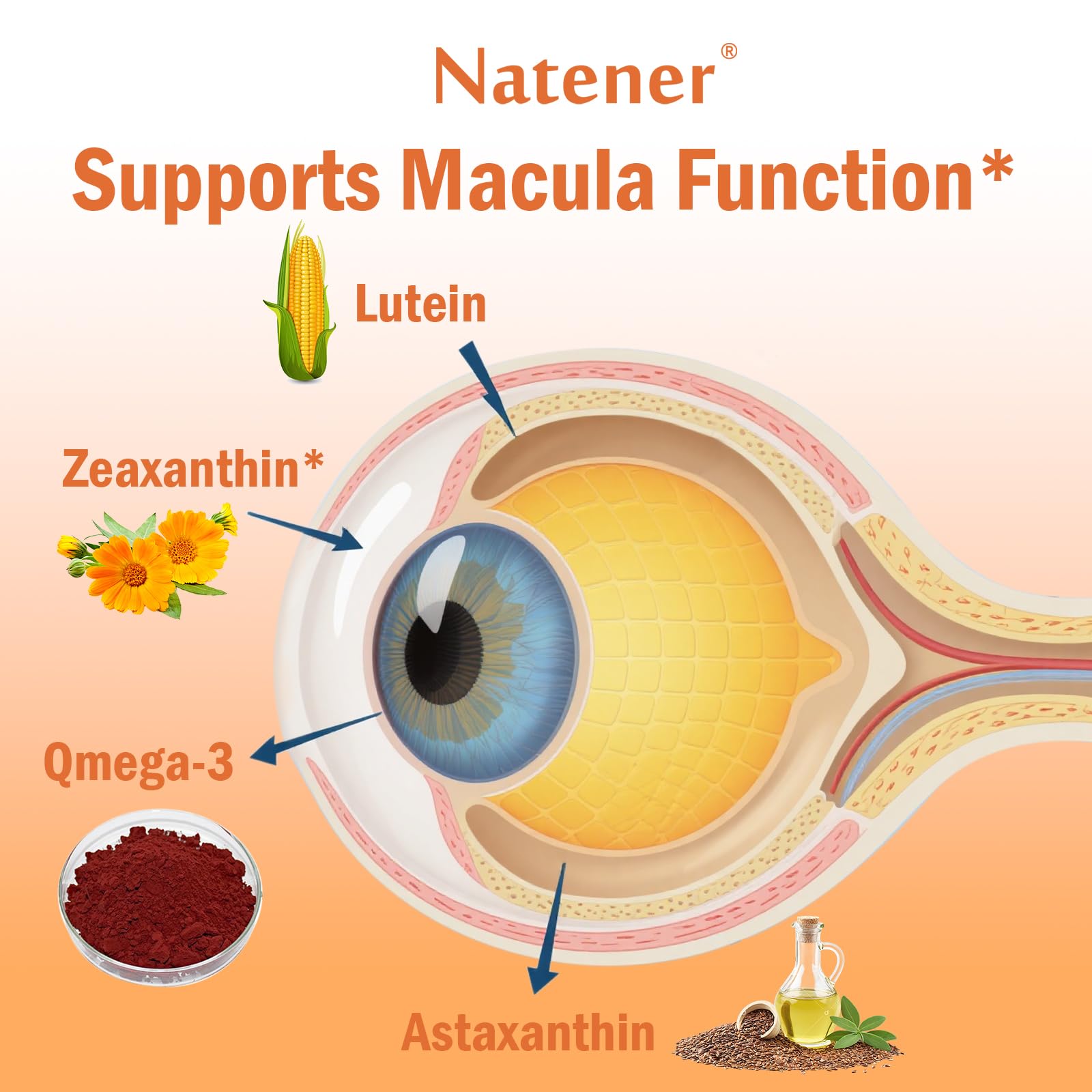 Natener Eye Care Supplement ingredients list