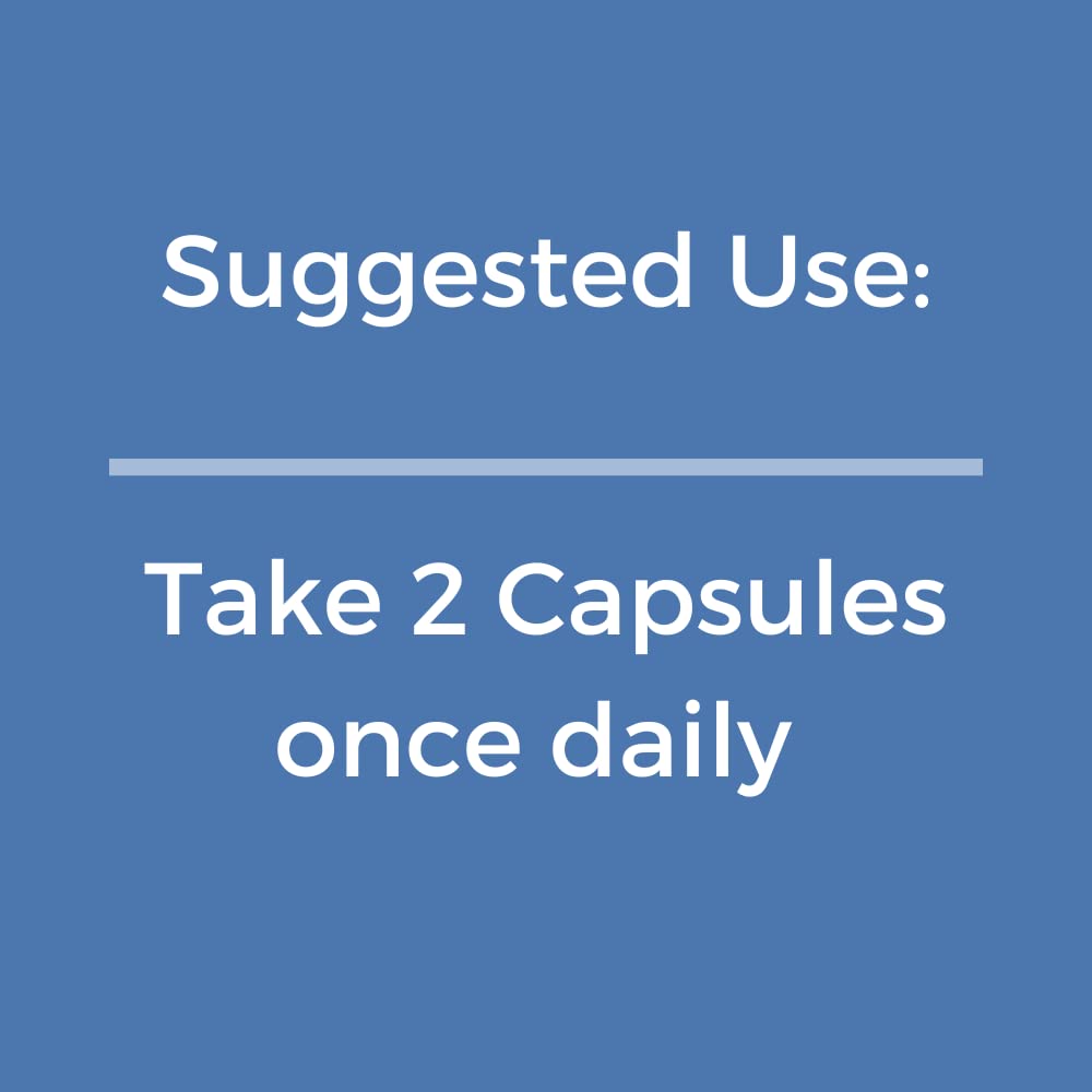 Natgrown Palmitoylethanolamide PEA Supplement 600 mg in a hand