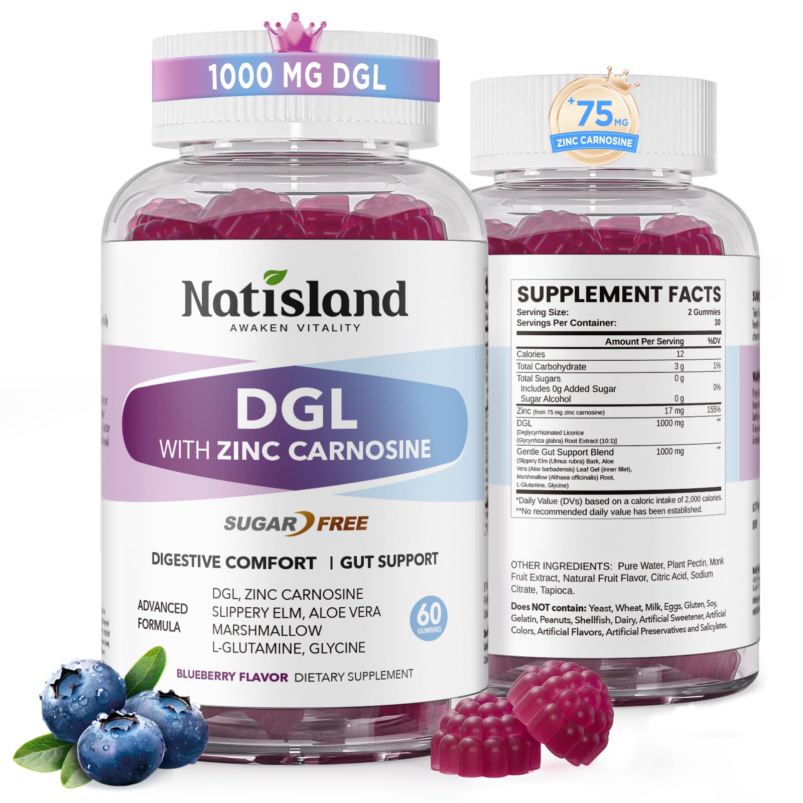 NATISLAND DGL Gummies with Zinc Carnosine front view