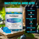 NATISLAND HMB Gummies packaging with ingredients list