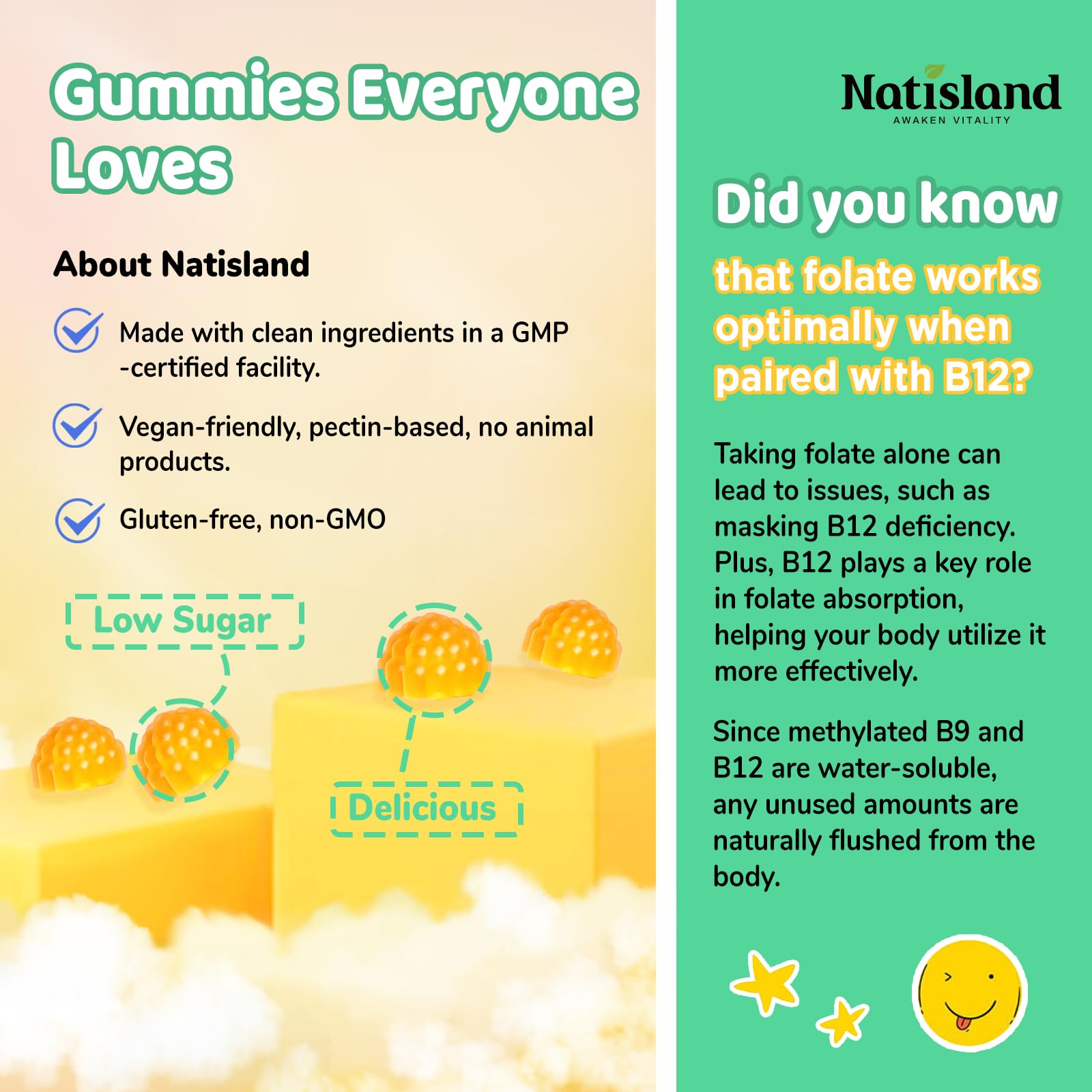 NATISLAND Methylfolate Gummies showing serving size