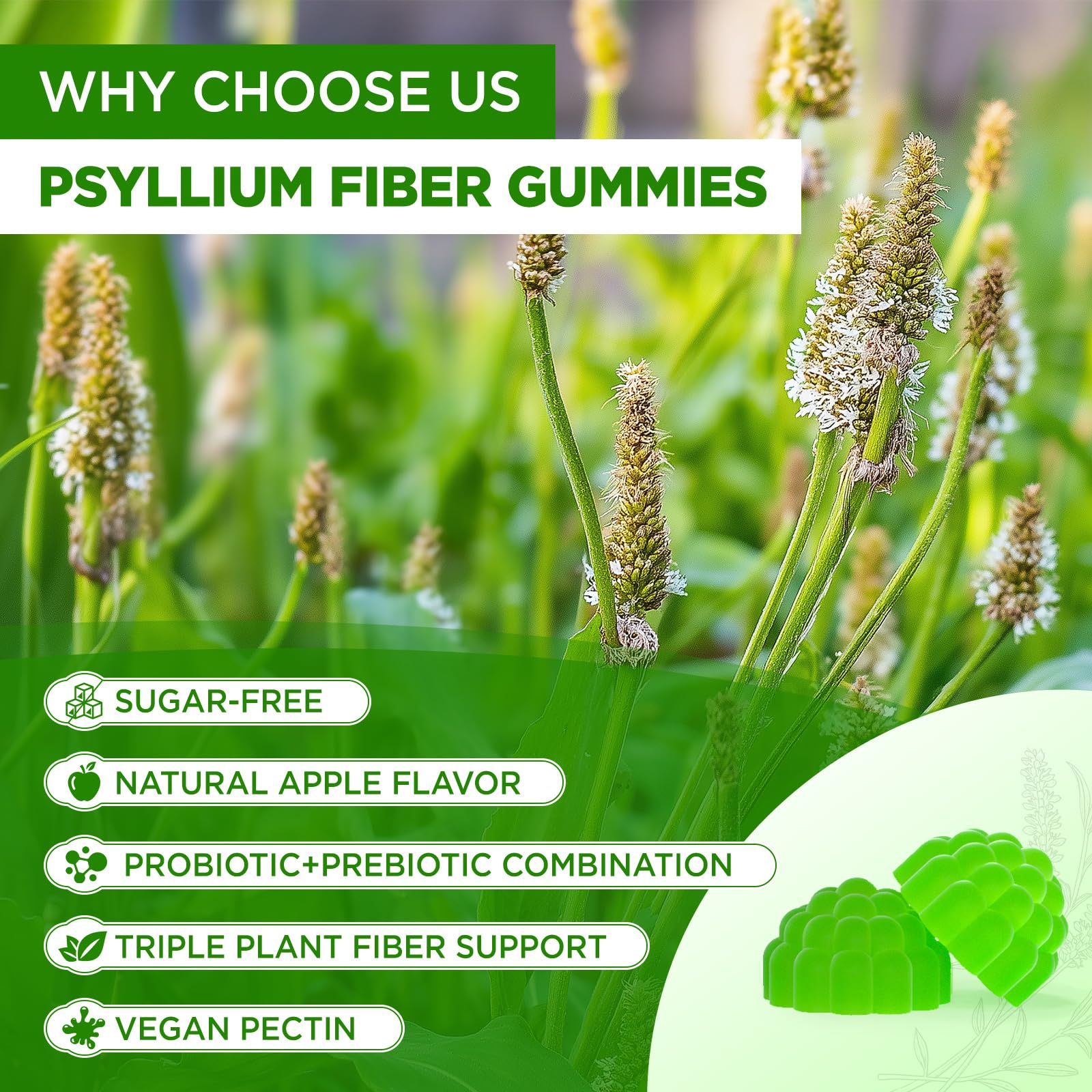 NATISLAND Psyllium Husk Gummies in a bowl