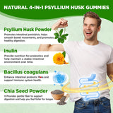 NATISLAND Psyllium Husk Gummies showing serving size