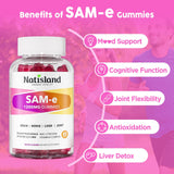 NATISLAND SAM-e Gummies 1200mg gummies in hand