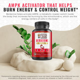 Native Logic Berberine HCL Capsules with Ceylon Cinnamon ingredients