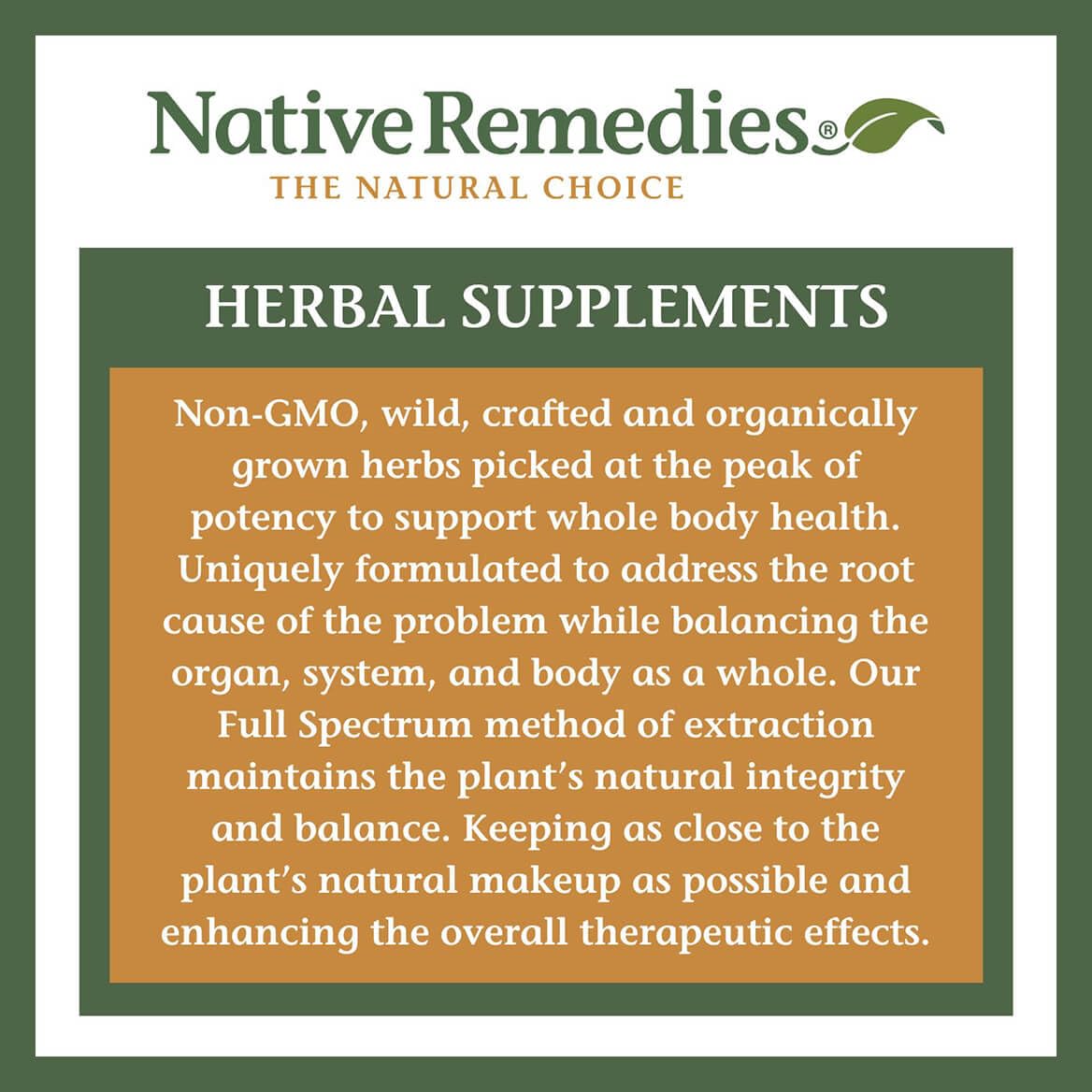 Native Remedies Focus Formula tincture on a wooden table