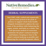 Native Remedies Gummies back view with nutritional information