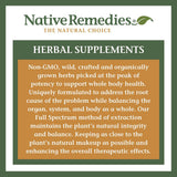 Native Remedies ThyroSoothe Thyroid Extract lifestyle scene with herbs