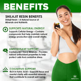 Native Rems Himalayan Shilajit Resin in a natural setting