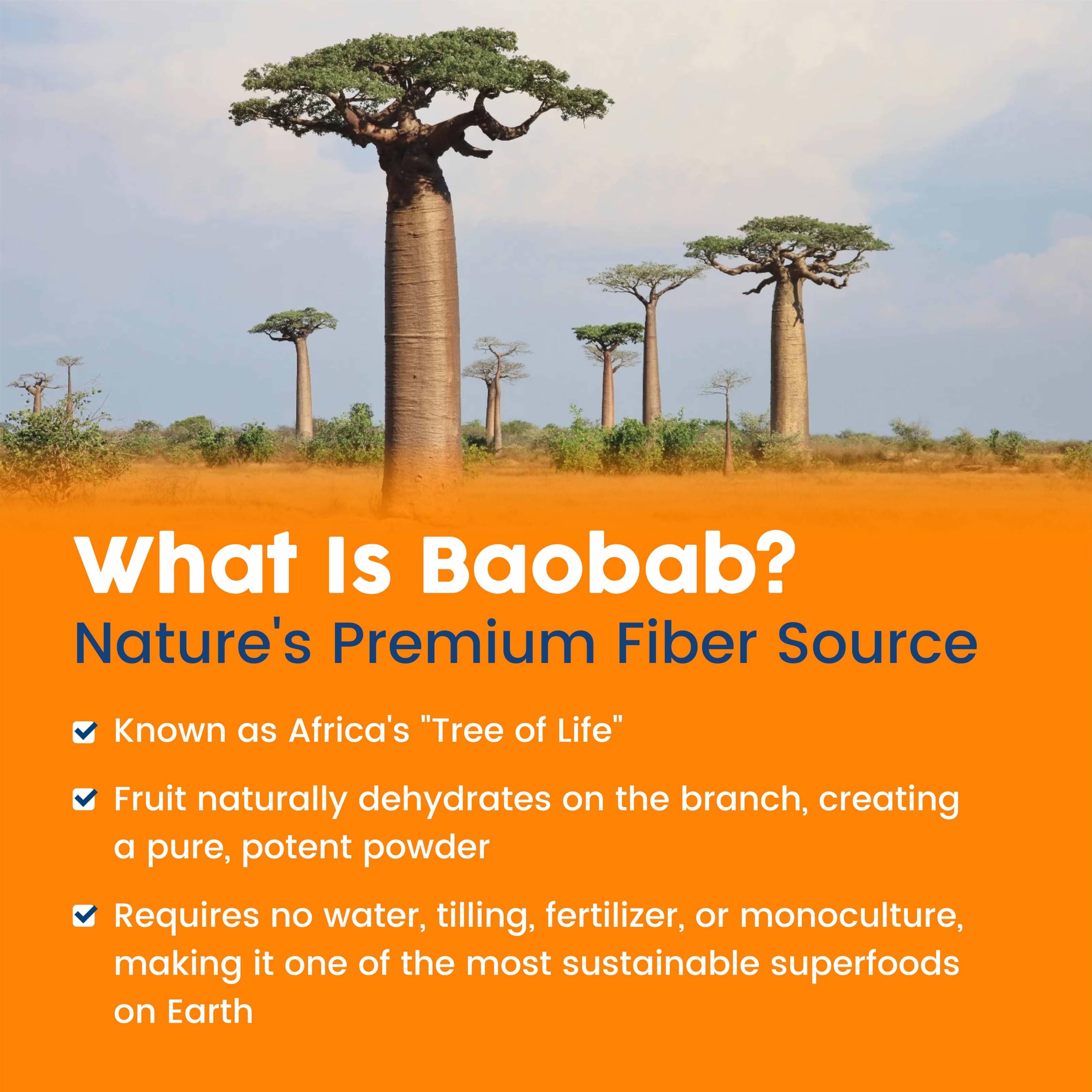 NativePath Baobab Fiber Supplement back view