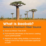 NativePath Baobab Fiber Supplement back view