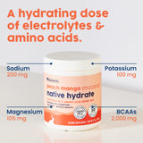 NativePath Hydrate 3-in-1 Electrolyte Powder back view packaging