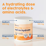 NativePath Hydrate 3-in-1 Electrolyte Powder close-up of powder