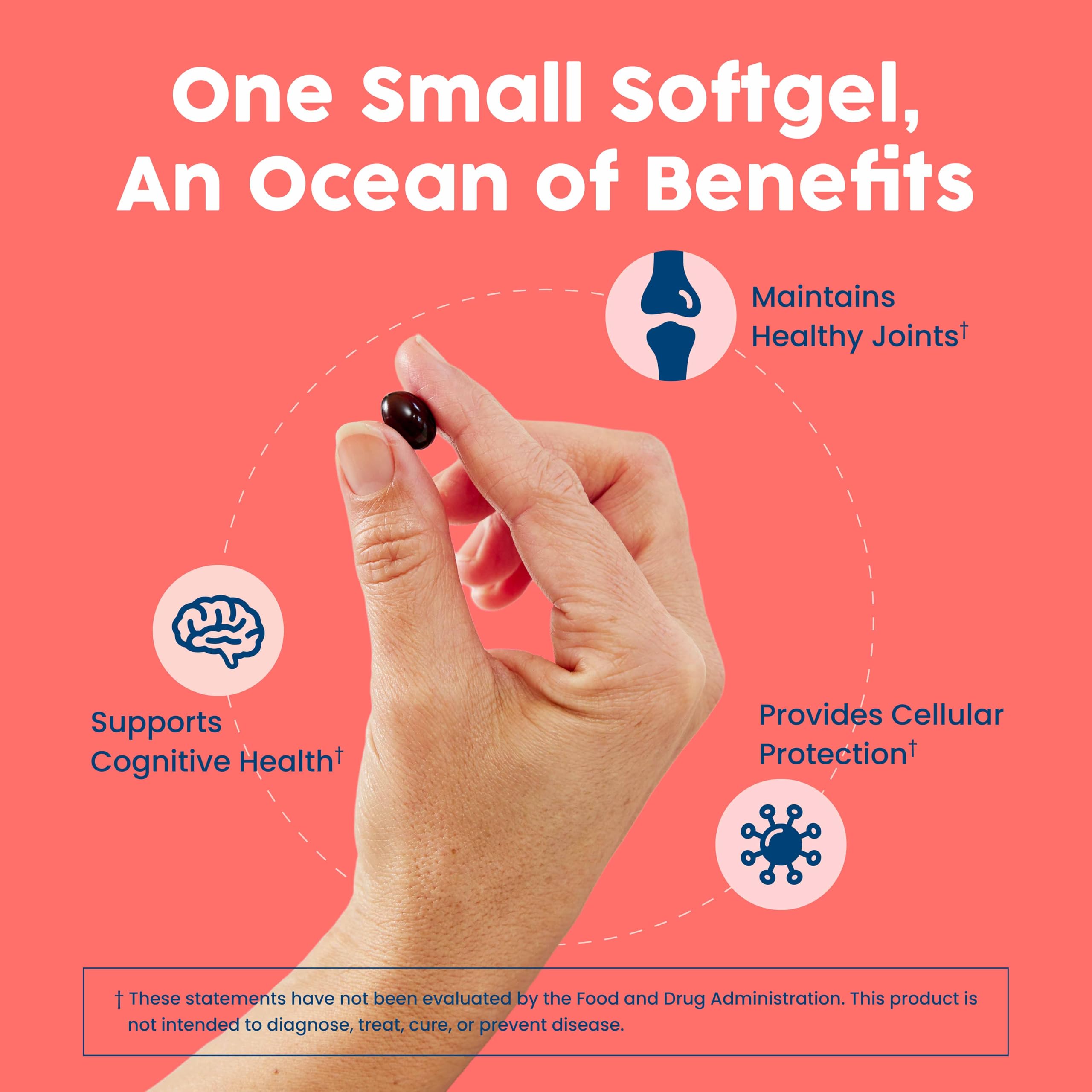 NativePath Krill Oil Supplement nutritional information