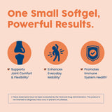 NativePath Turmeric Extract Softgels 500mg softgel close-up