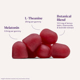 Natrol Kids Melatonin Sleep Gummies 1 mg Strawberry packaging