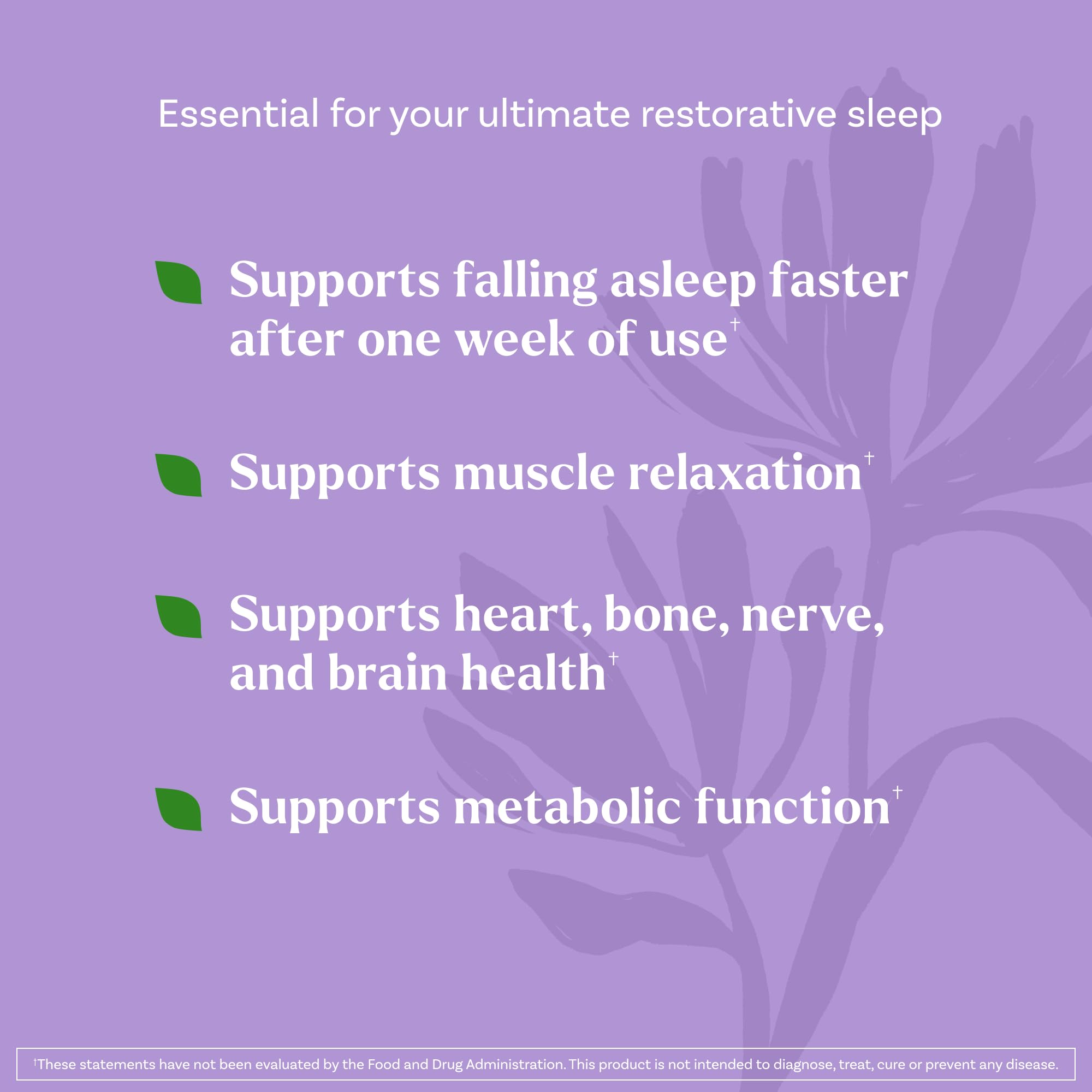Natrol Sleep & Restore box containing 10 stick packs