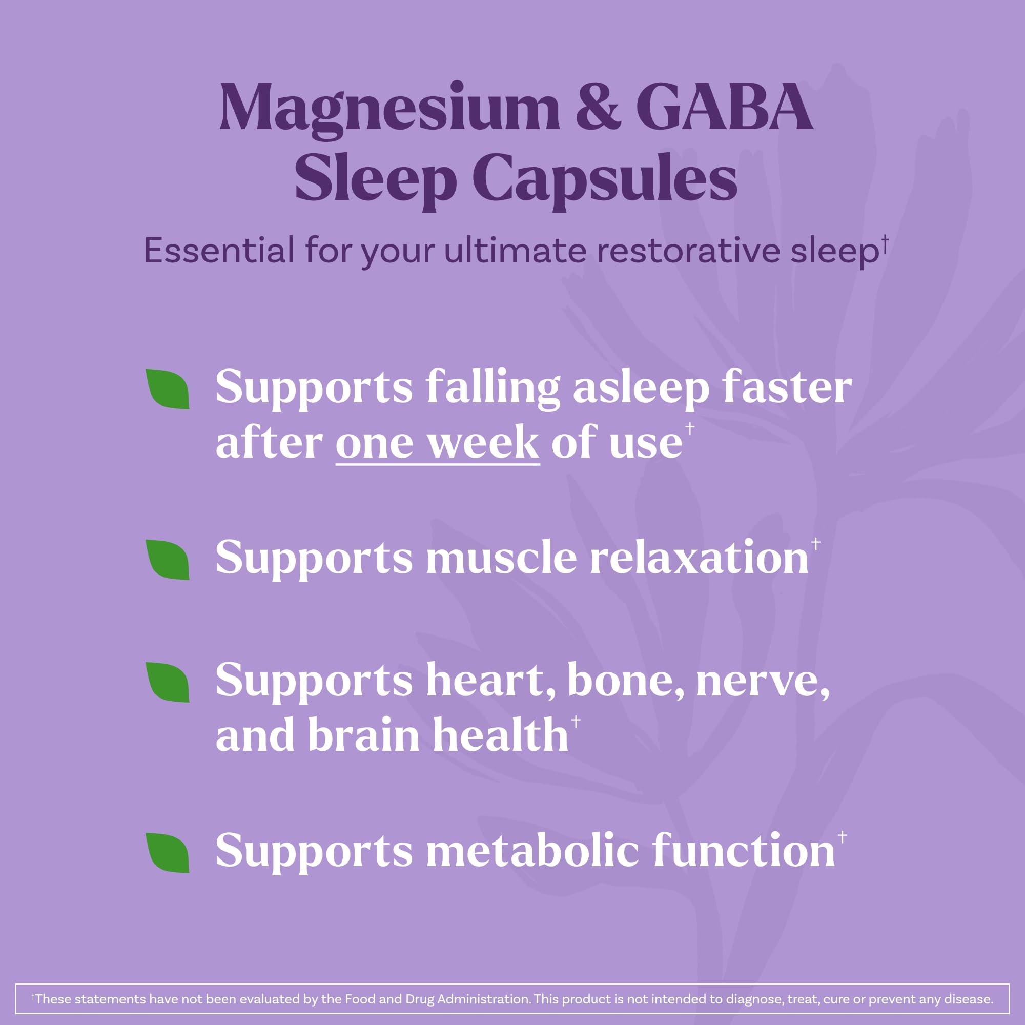 Natrol Sleep & Restore Capsules 100mg Magnesium Glycinate back view
