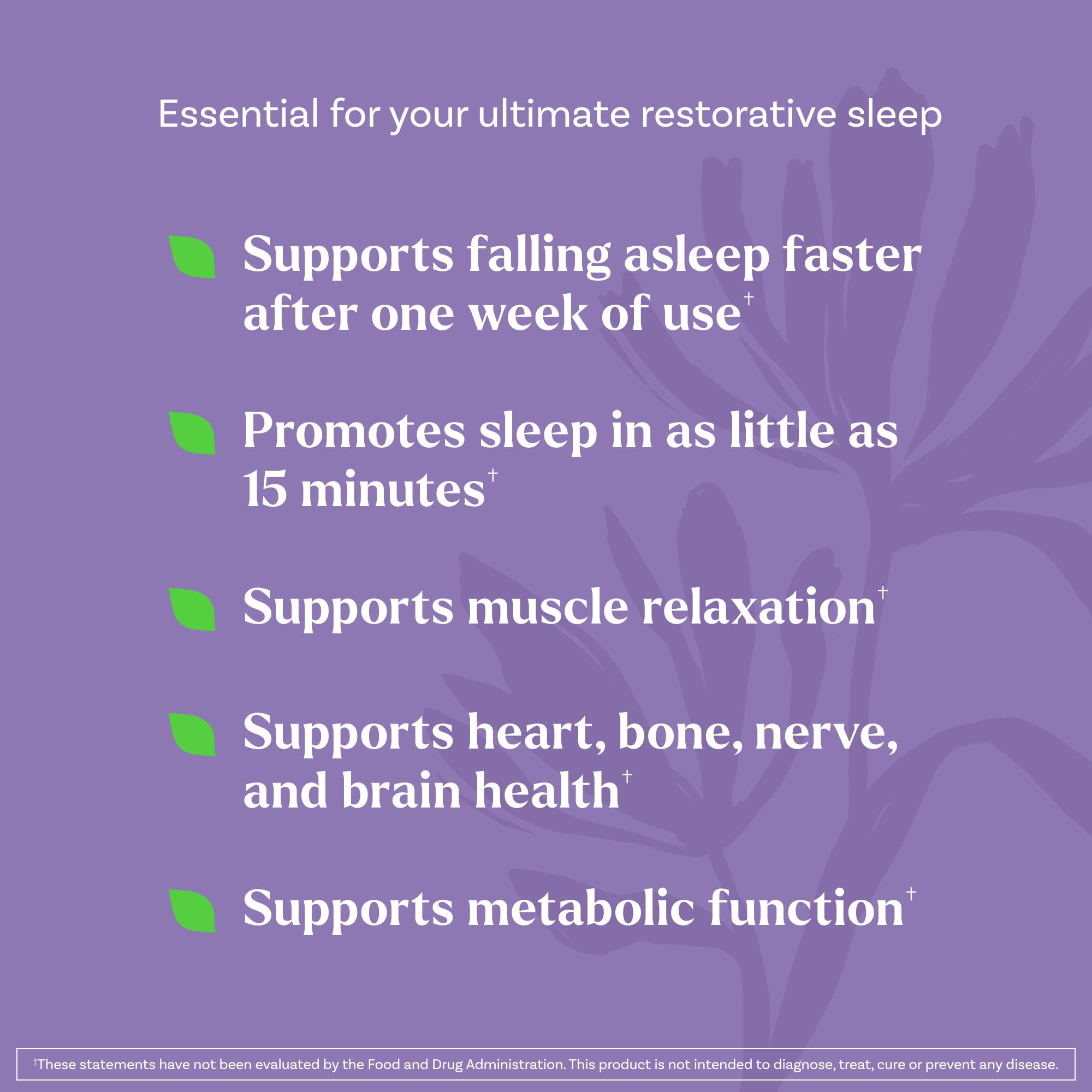 Natrol Sleep + Restore Gummies 5mg Melatonin back view