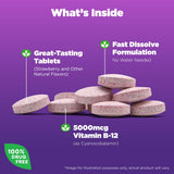 Natrol Vitamin B12 Fast Dissolve 5000mcg Tablets side view