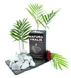Natura Uralis Belgorod Chalk 200g in natural setting
