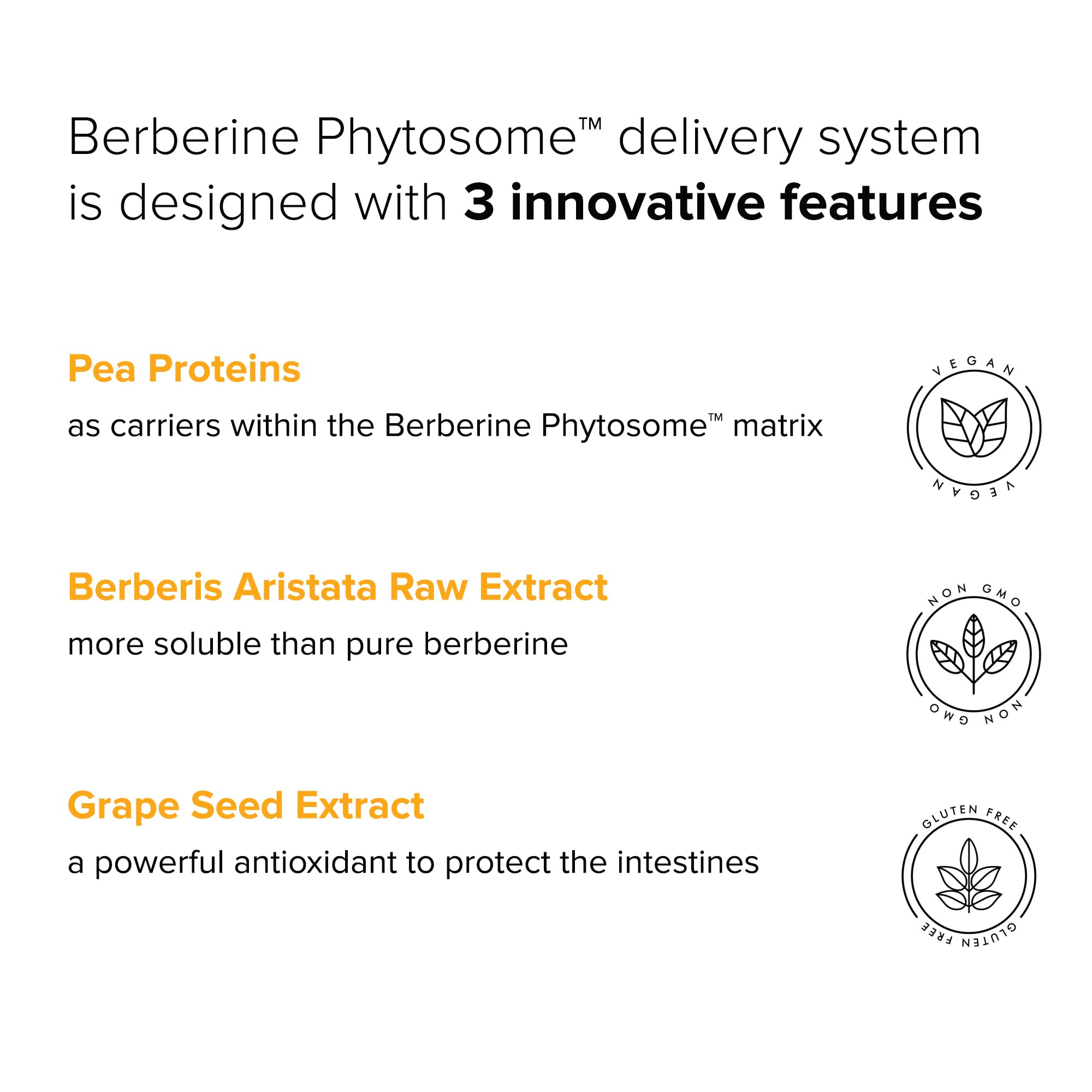 Natural BioScience Berberine Phytosome Capsules 550mg lifestyle scene