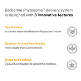 Natural BioScience Berberine Phytosome Capsules 550mg lifestyle scene