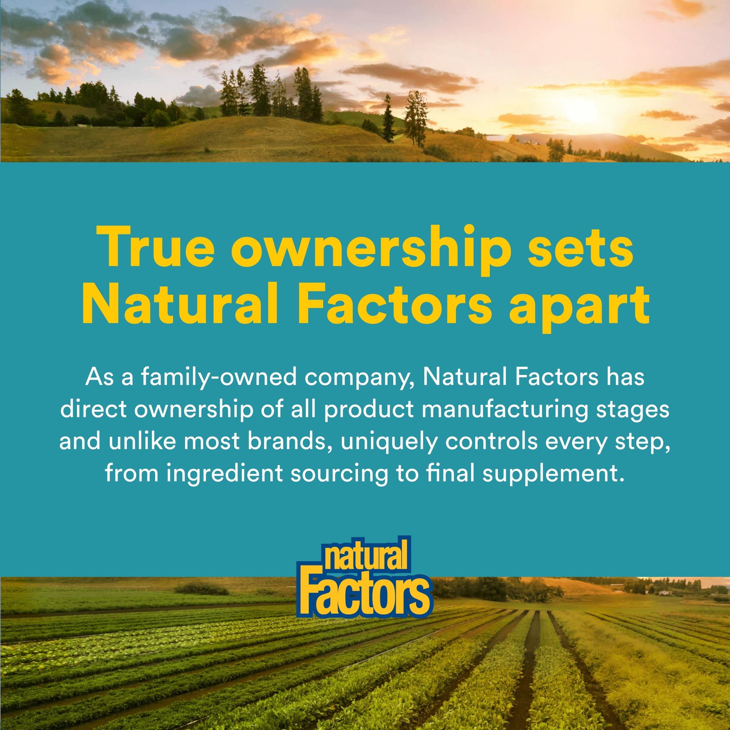 Natural Factors Alpha-Lipoic Acid 600 mg vegetarian capsules