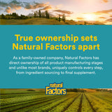 Natural Factors Alpha-Lipoic Acid 600 mg vegetarian capsules