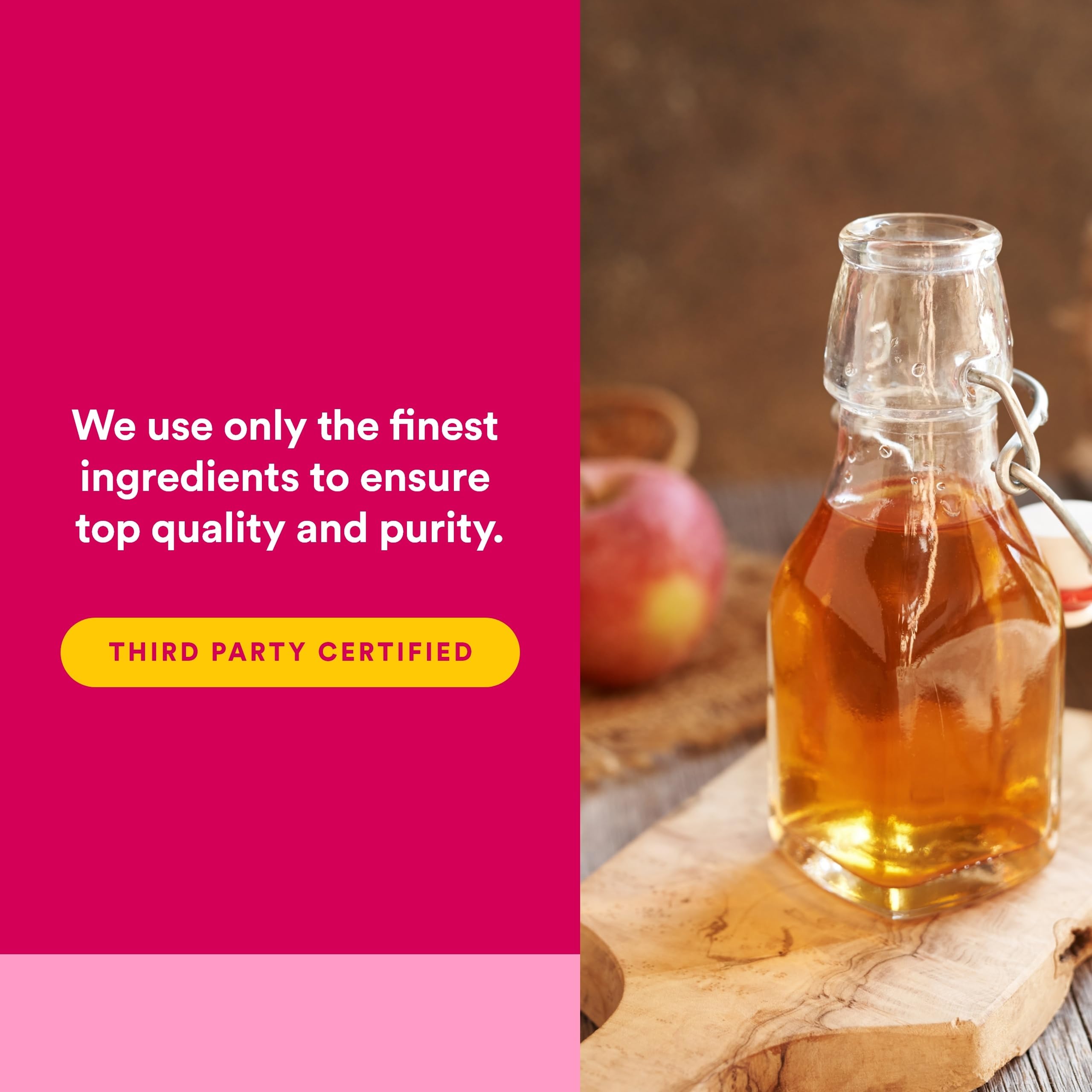 Natural Factors Apple Cider Vinegar Capsules 500mg capsule close-up
