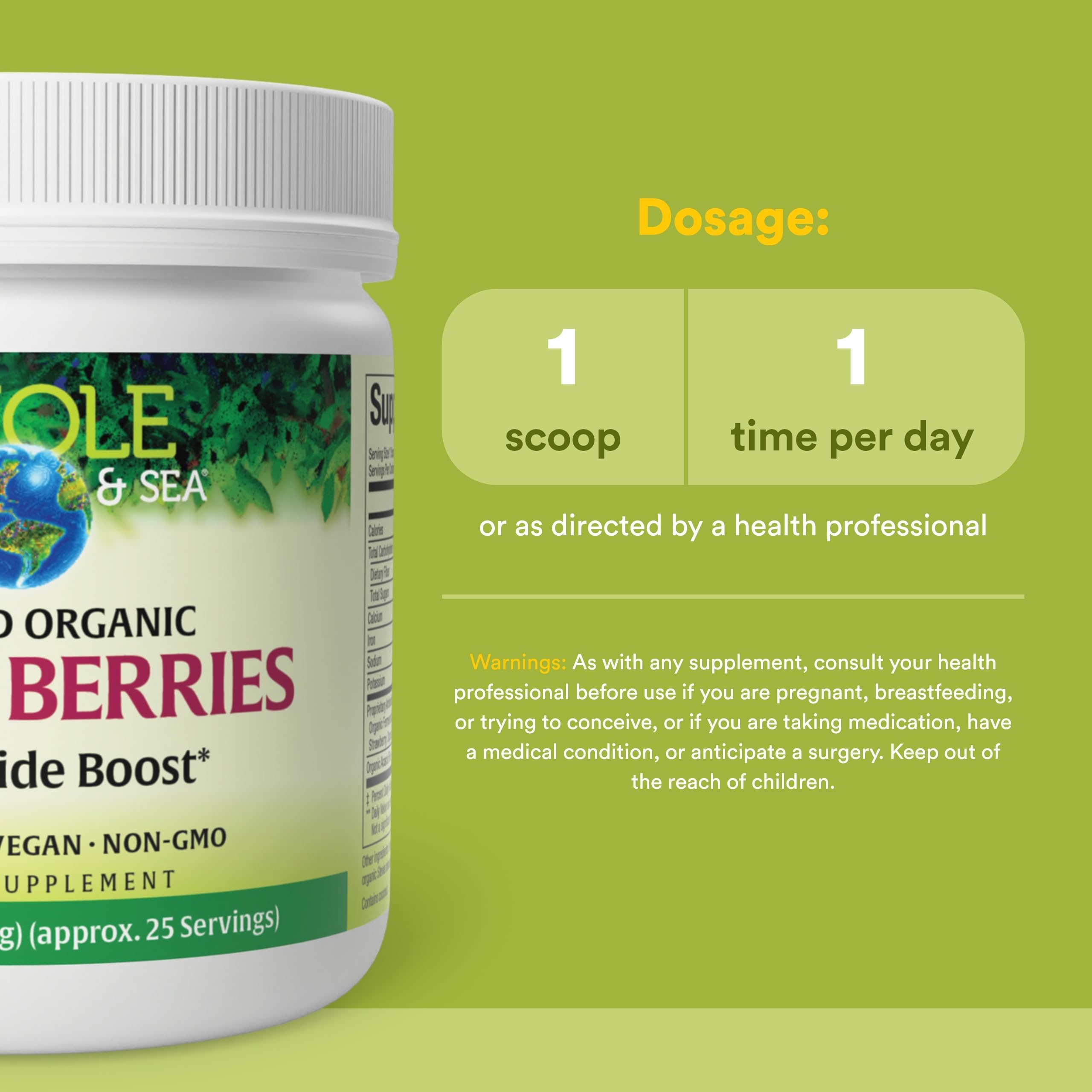 Natural Factors Beets & Berries Nitric Oxide Powder ingredients close-up