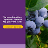 Natural Factors BlueRich Blueberry Concentrate softgel close-up