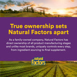 Natural Factors BlueRich Blueberry Concentrate softgel with ingredients