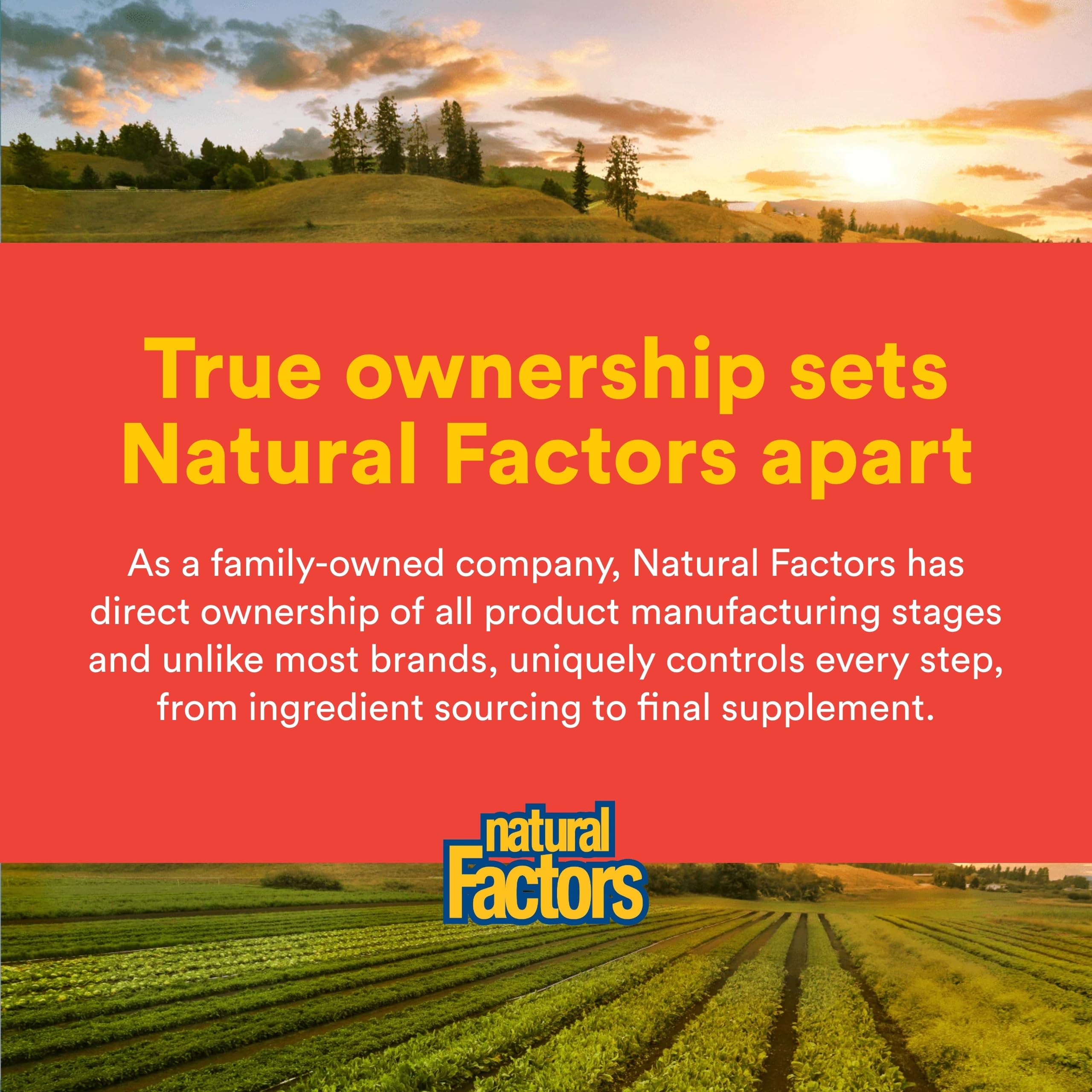 Natural Factors C Extra + Quercetin packaging side view