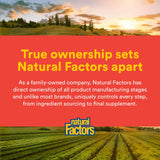 Natural Factors C Extra + Quercetin packaging side view