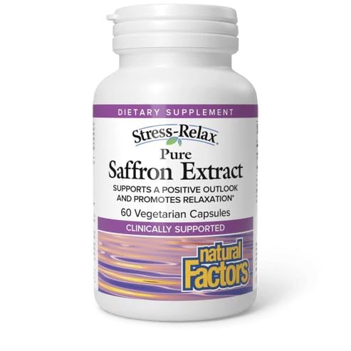 Natural Factors Chondroitin Supplement 41g powder front view