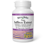 Natural Factors Chondroitin Supplement 41g powder front view