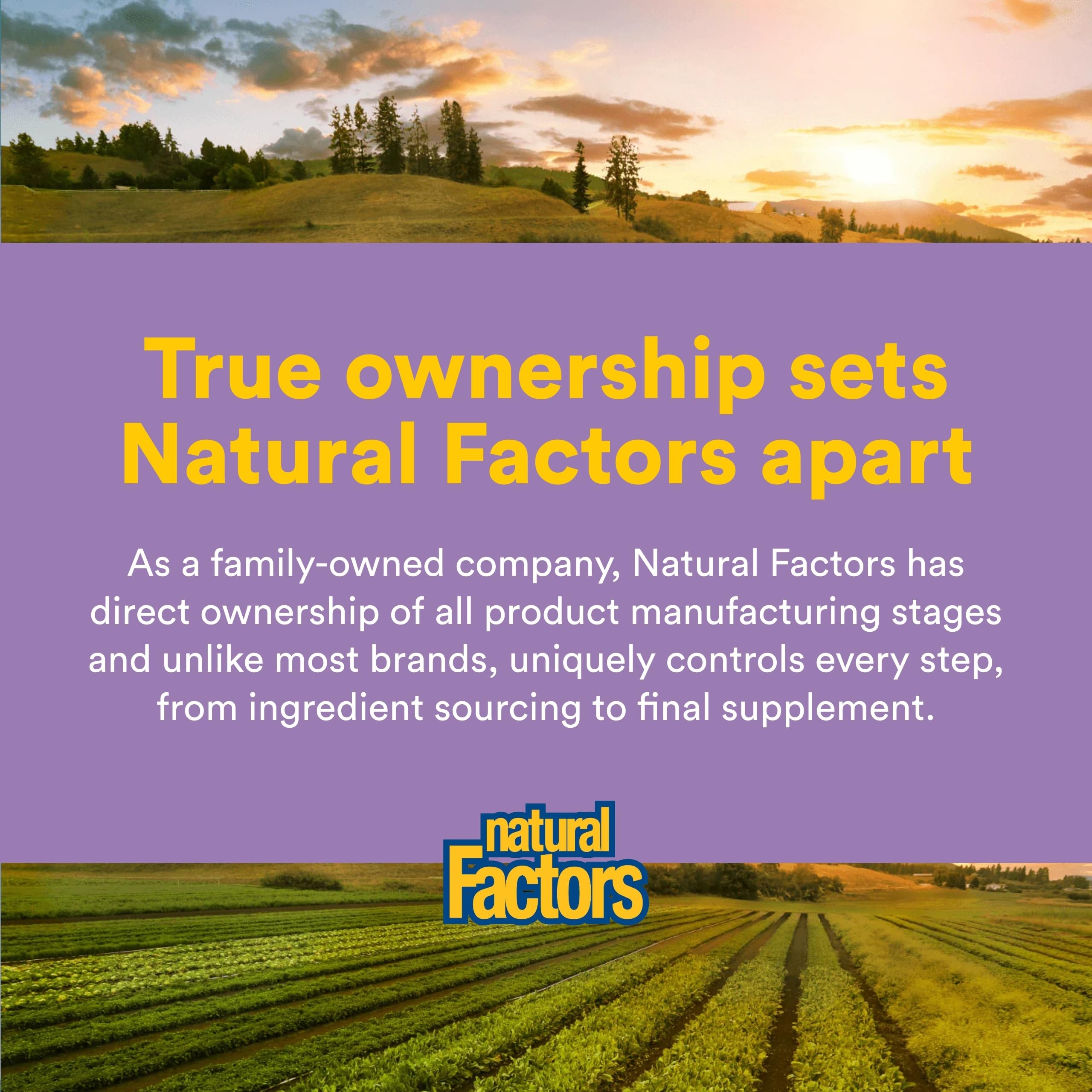 Natural Factors CoQ10 100mg Softgels on a countertop