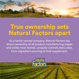 Natural Factors CoQ10 100mg Softgels on a countertop