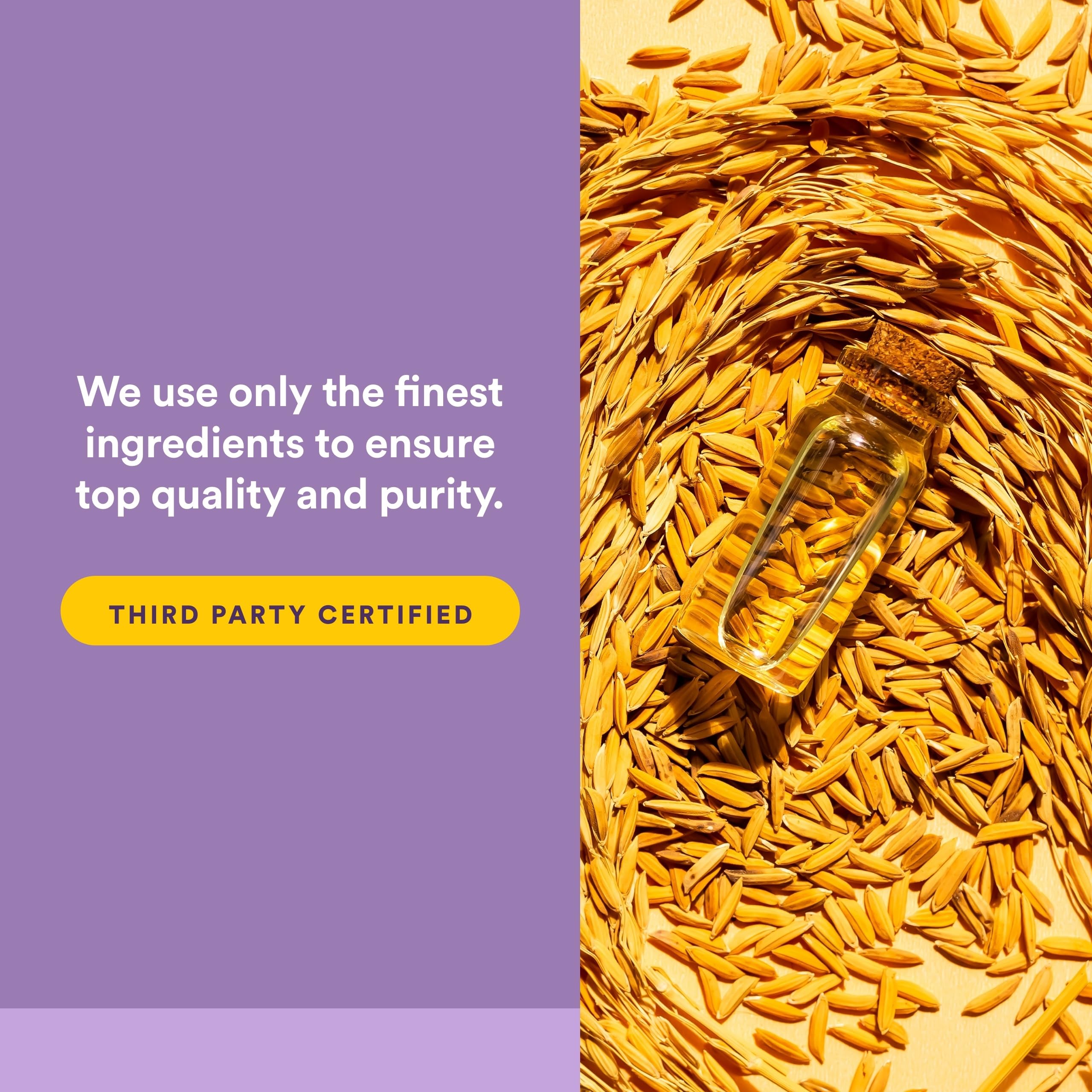 Natural Factors CoQ10 100mg Softgels with rice bran oil