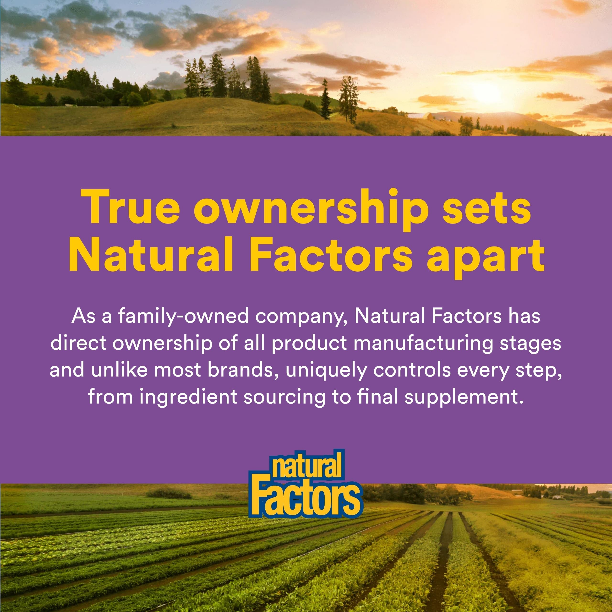 Natural Factors CoQ10 Ubiquinone 400mg Softgels in hand