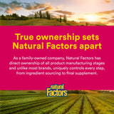 Natural Factors CranRich Cranberry Capsules in a hand