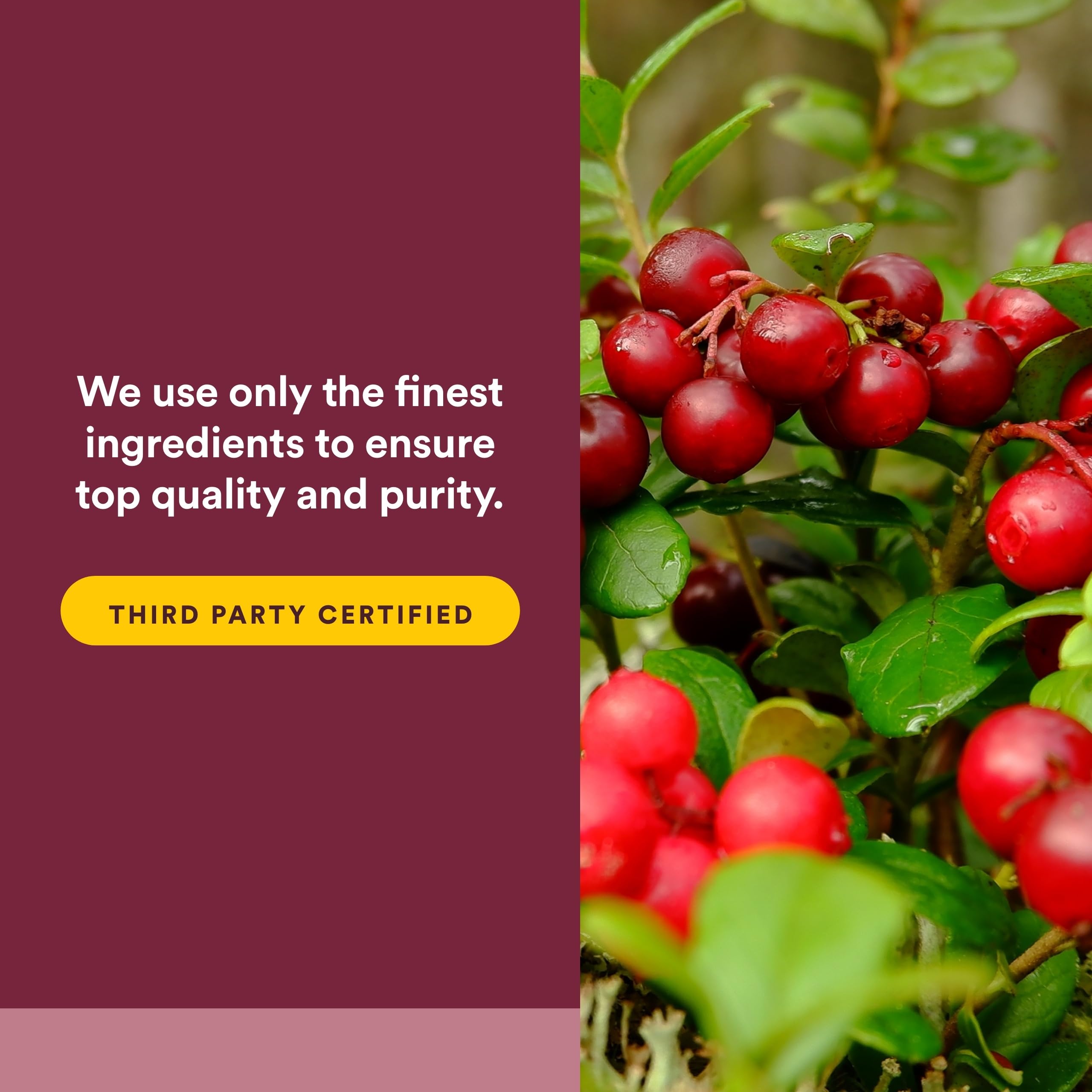 Natural Factors CranRich® Organic Cranberry Concentrate 500mg Capsules with ingredients list