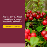 Natural Factors CranRich® Organic Cranberry Concentrate 500mg Capsules with ingredients list