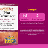 Natural Factors CurcuminRich Joint Curcumizer 400mg capsule close-up
