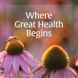 Natural Factors Echinacea Liquid Extract close-up of bottle and dropper