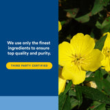 Natural Factors Evening Primrose Oil ingredients list