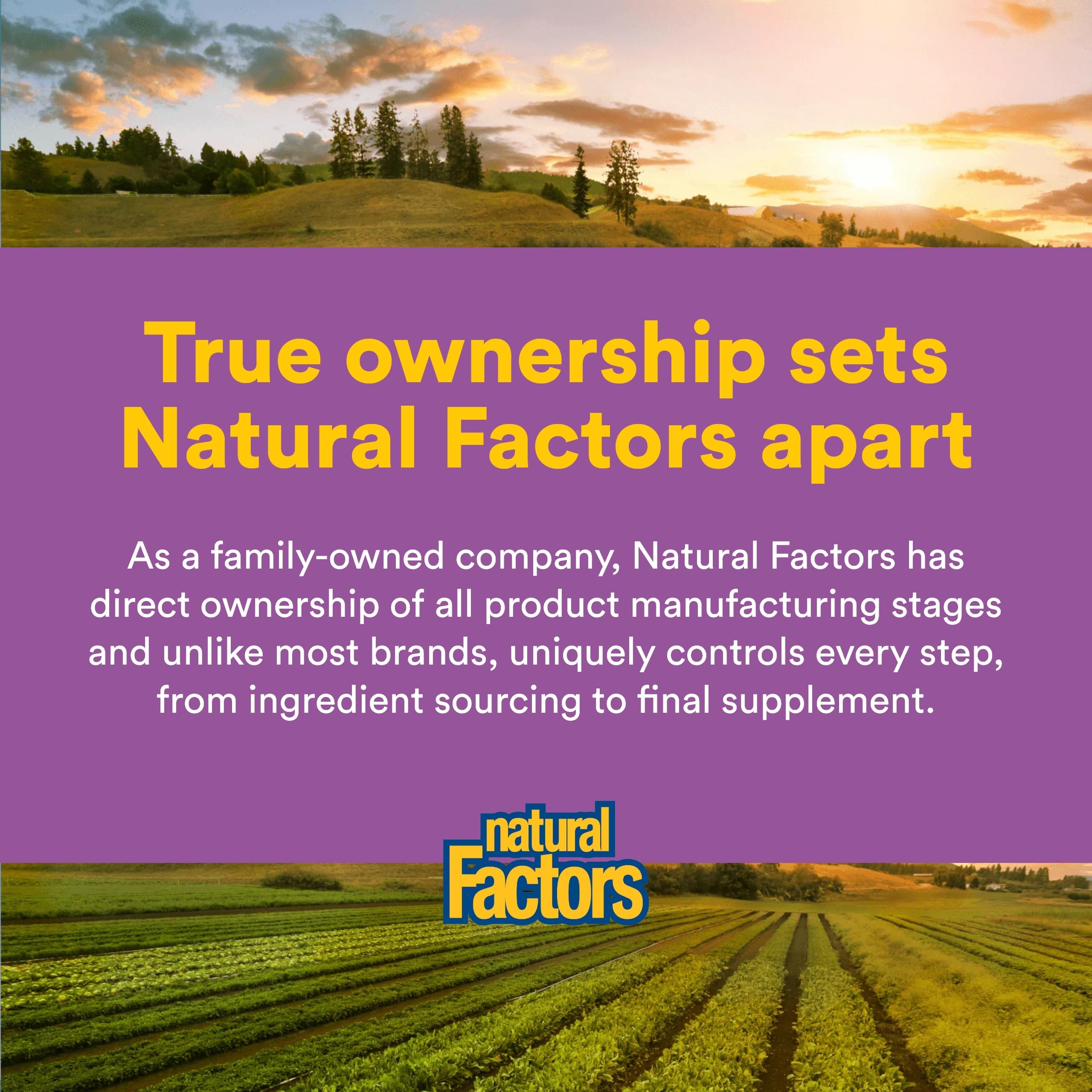 Natural Factors Fish Oil Supplement in a lifestyle setting